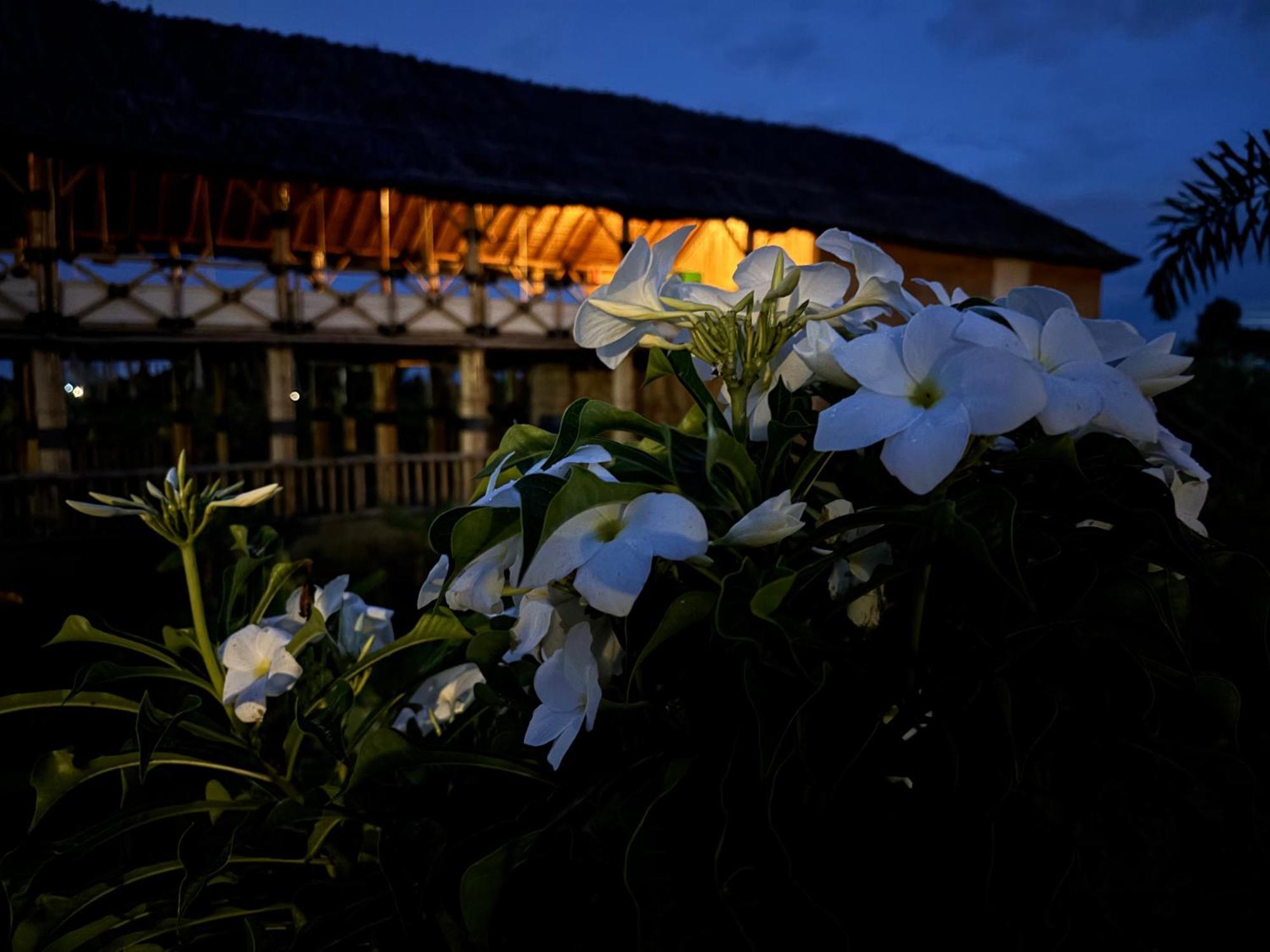 Mowgli'S Cafe Hampi & Guest House Exterior photo